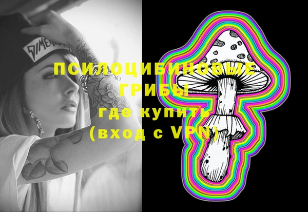 соль ск Алексин