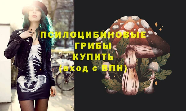 спайс Алзамай