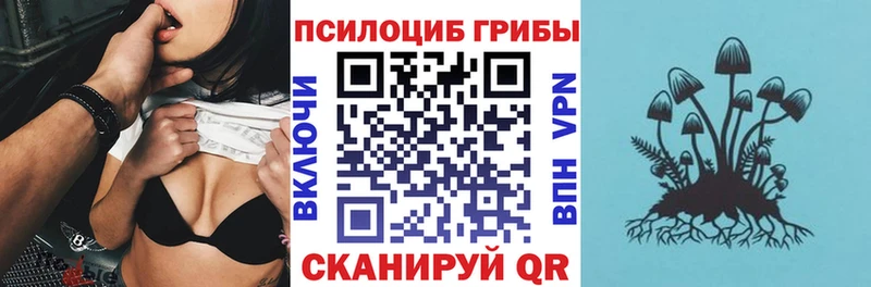 купить наркотики цена  дарк нет состав  Псилоцибиновые грибы Magic Shrooms  Новоульяновск 